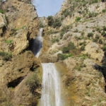 Dünyada sadece Aydın’da yetişen ’Küçük Çan’ yok olma tehlikesiyle karşı karşıya