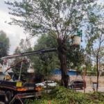 Efeler Belediyesi ekipleri kent genelinde çalışmalarını sürdürüyor