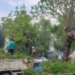 Efeler Belediyesi ekipleri kent genelinde çalışmalarını sürdürüyor