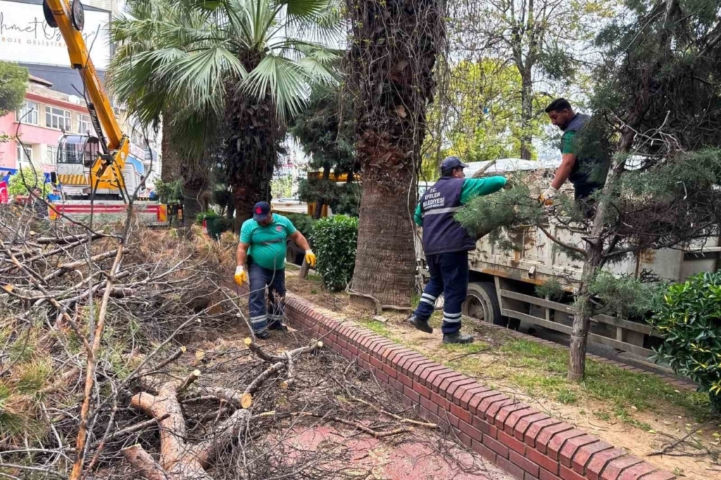 Efeler Belediyesi parkları güvenli hale getiriyor 6 efeler belediyesi parklari guvenli hale getiriyor 116bf76e6751