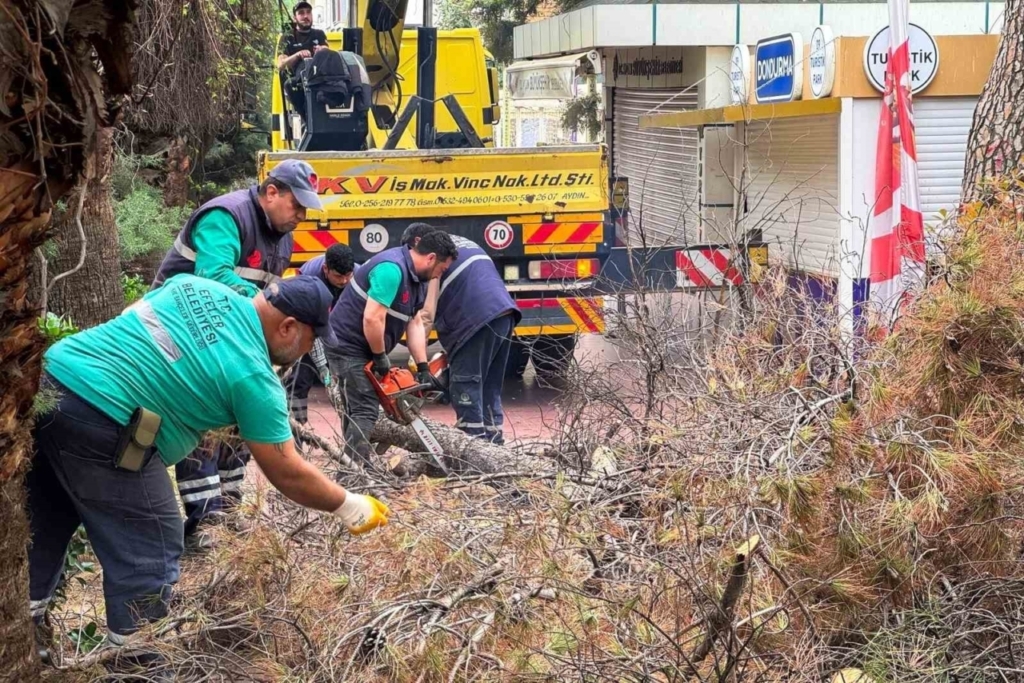 Efeler Belediyesi parkları güvenli hale getiriyor 5 efeler belediyesi parklari guvenli hale getiriyor 859cfb09cac3