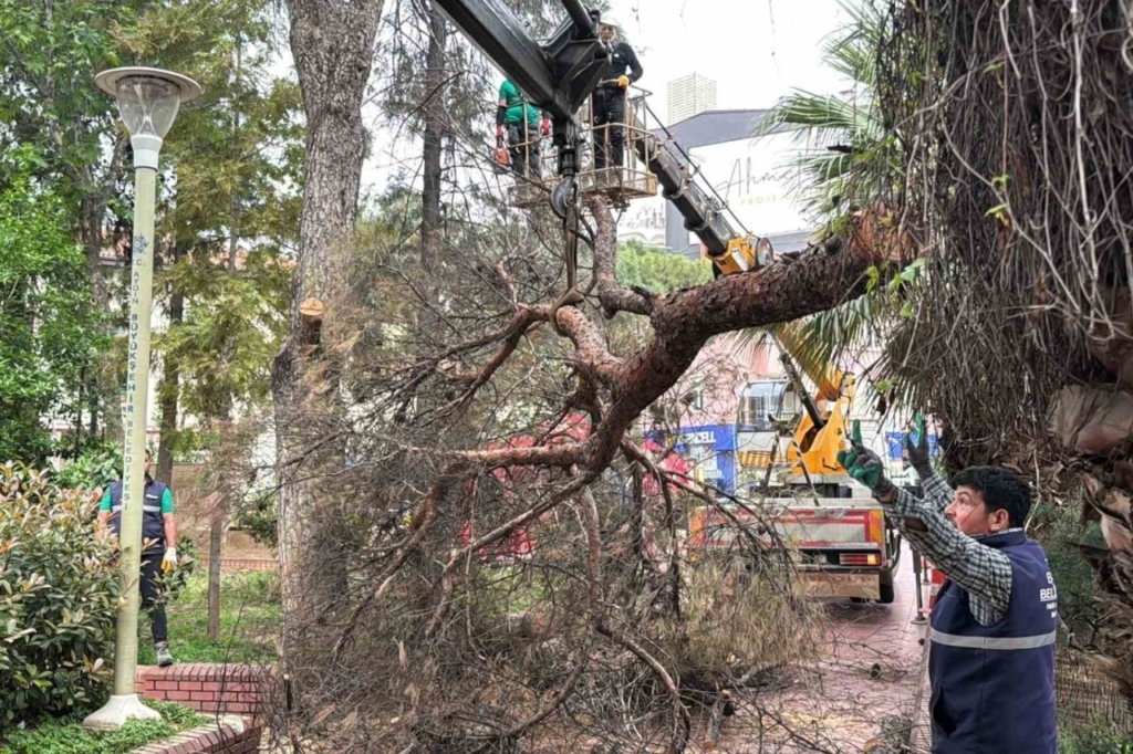Efeler Belediyesi parkları güvenli hale getiriyor 2 efeler belediyesi parklari guvenli hale getiriyor 9815afba9edc