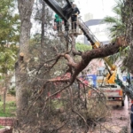 Efeler Belediyesi parkları güvenli hale getiriyor
