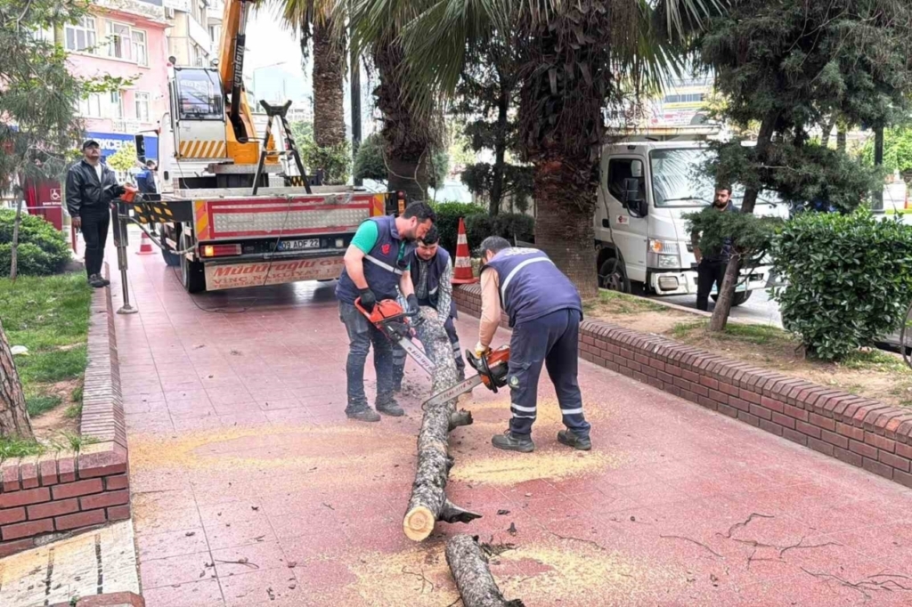 Efeler Belediyesi parkları güvenli hale getiriyor 3 efeler belediyesi parklari guvenli hale getiriyor ae6c55de8765