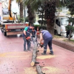 Efeler Belediyesi parkları güvenli hale getiriyor