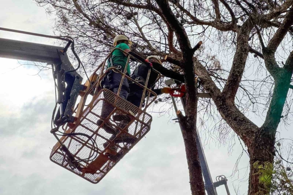 Efeler Belediyesi parkları güvenli hale getiriyor 4 efeler belediyesi parklari guvenli hale getiriyor d54b5d7ef33b