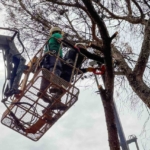 Efeler Belediyesi parkları güvenli hale getiriyor
