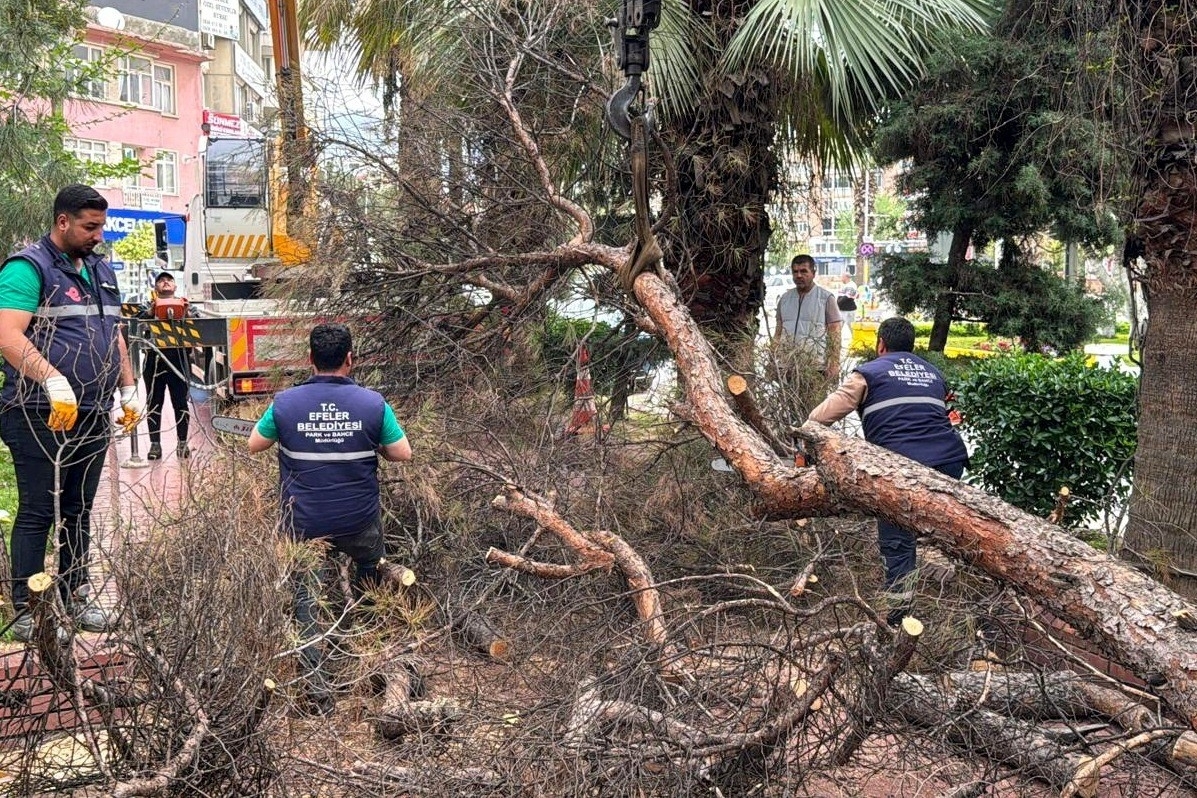 efeler belediyesi parklari guvenli hale getiriyor d89c16dd25f9