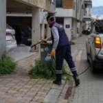 Efeler Belediyesi’nden yabani ot temizliği
