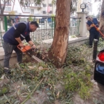 Efeler’in her noktasında çalışmalar sürüyor