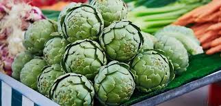 Ege ve Aydın’da Enginar Üretimi: Tarımdan Ekonomiye ve Gastronomiye Katkısı