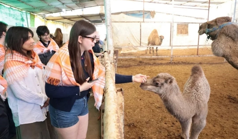 Estonyalı öğrenciler deve çiftliğini gezdi