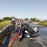 Germencik’te araç küle döndü