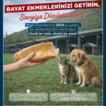 Germencik’te bayat ekmekler can dostlara mama oluyor