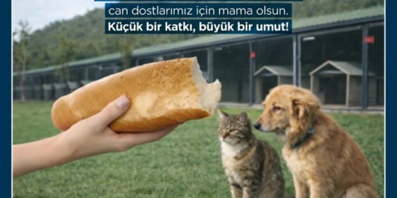 Germencik’te bayat ekmekler can dostlara mama oluyor