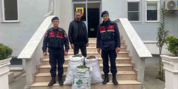 Germencik’te incir bahçesinde jandarmadan suçüstü