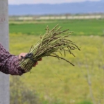 Hem sağlığını koruyor, hem de paylaşmanın mutluluğunu yaşıyor