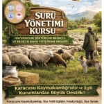 Karacasu’da sürü yönetimi kursu başlıyor