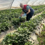 Köşk’ten Sultanhisar’a çapraz denetim