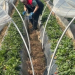 Köşk’ten Sultanhisar’a çapraz denetim