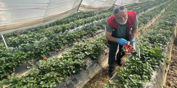 Köşk’ten Sultanhisar’a uzanan denetim