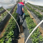 Köşk’ten Sultanhisar’a çapraz denetim