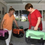 Kuşadası Belediyesi patili dostların yanında