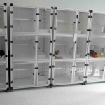 Kuşadası Belediyesi patili dostların yanında