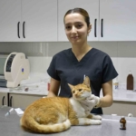 Kuşadası Belediyesi patili dostların yanında