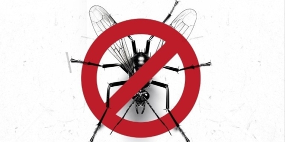 Kuşadası Belediyesi’nden ‘Vektörle mücadele’ açıklaması