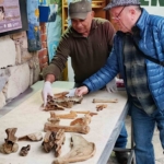 Kuşadası kıyılarında fırtına sonrası ortaya çıkan kemikler incelendi