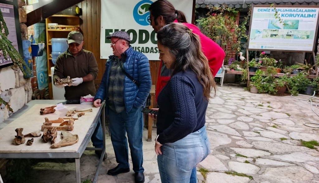 kusadasi kiyilarinda firtina sonrasi ortaya cikan kemikler incelendi b8206c2033f7