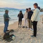 Kuşadası’nda iki deniz kaplumbağası ölü bulundu