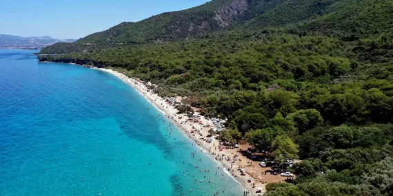 Dilek Yarımadası Büyük Menderes Deltası Milli Parkı Rehberi: Kuşadası’nın Doğa Harikası