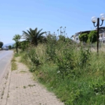 Nazilli Belediye Başkanı Tetik: "Bu görüntüler Nazilli’ye yakışmıyor"