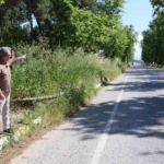 Nazilli Belediye Başkanı Tetik: "Bu görüntüler Nazilli’ye yakışmıyor"