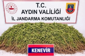 Nazilli’de uyuşturucu operasyonu