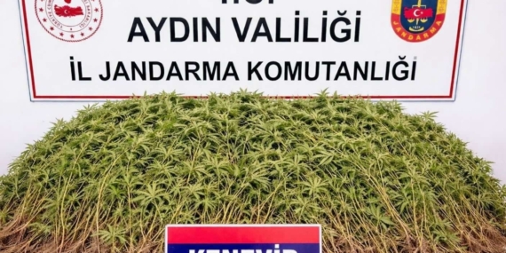Nazilli’de uyuşturucu operasyonu