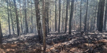 Orman yangını kontrol altına alındı