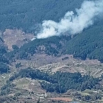 Orman yangını kontrol altına alındı