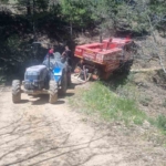 Orman yangını kontrol altına alındı