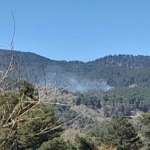 Orman yangını kontrol altına alındı