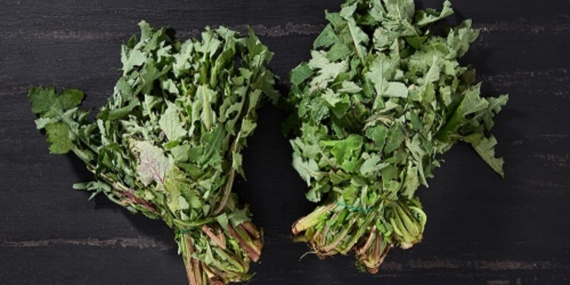 Radika Otu ile Ege Sofralarını Zenginleştirin