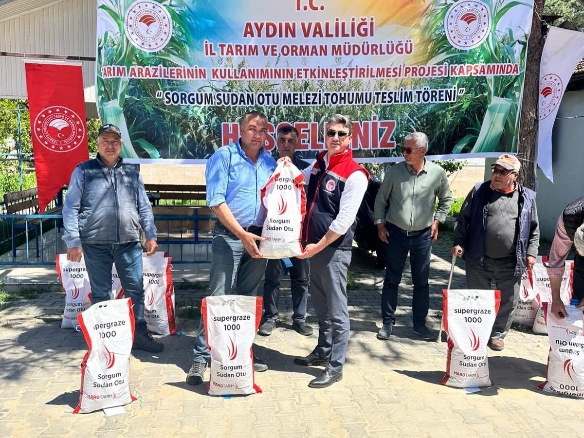 Aydın'da silajlık mısıra alternatif sorgum otu 1 silajlik misira alternatif olan sorgum otu ureticilere dagitildi e92a83c4a01e