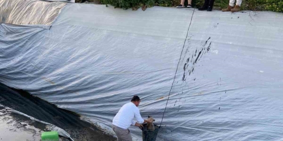 Sultanhisar’da 5 yavru köpek kurtarıldı