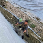 Sulama havuzuna düşen 5 yavru köpeği belediye ekipleri kurtardı