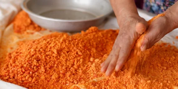 Aydın Tarhanası: Geleneksel Ege Lezzeti