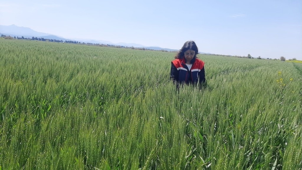 Tarım arazilerinde hastalık ve zararlı mesaisi 3 tarim arazilerinde hastalik ve zararli mesaisi ed639688f8fa