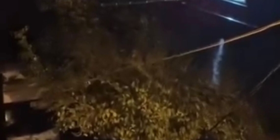 İncirliova’da tren kazası 1 kişi öldü