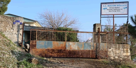 Aydın’da üreticilere umut olacaktı: Çürümeye terk edildi